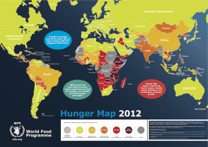 国連世界食糧計画の飢餓地図2012 World Food Programme http://www.wfp.org/hunger/map
