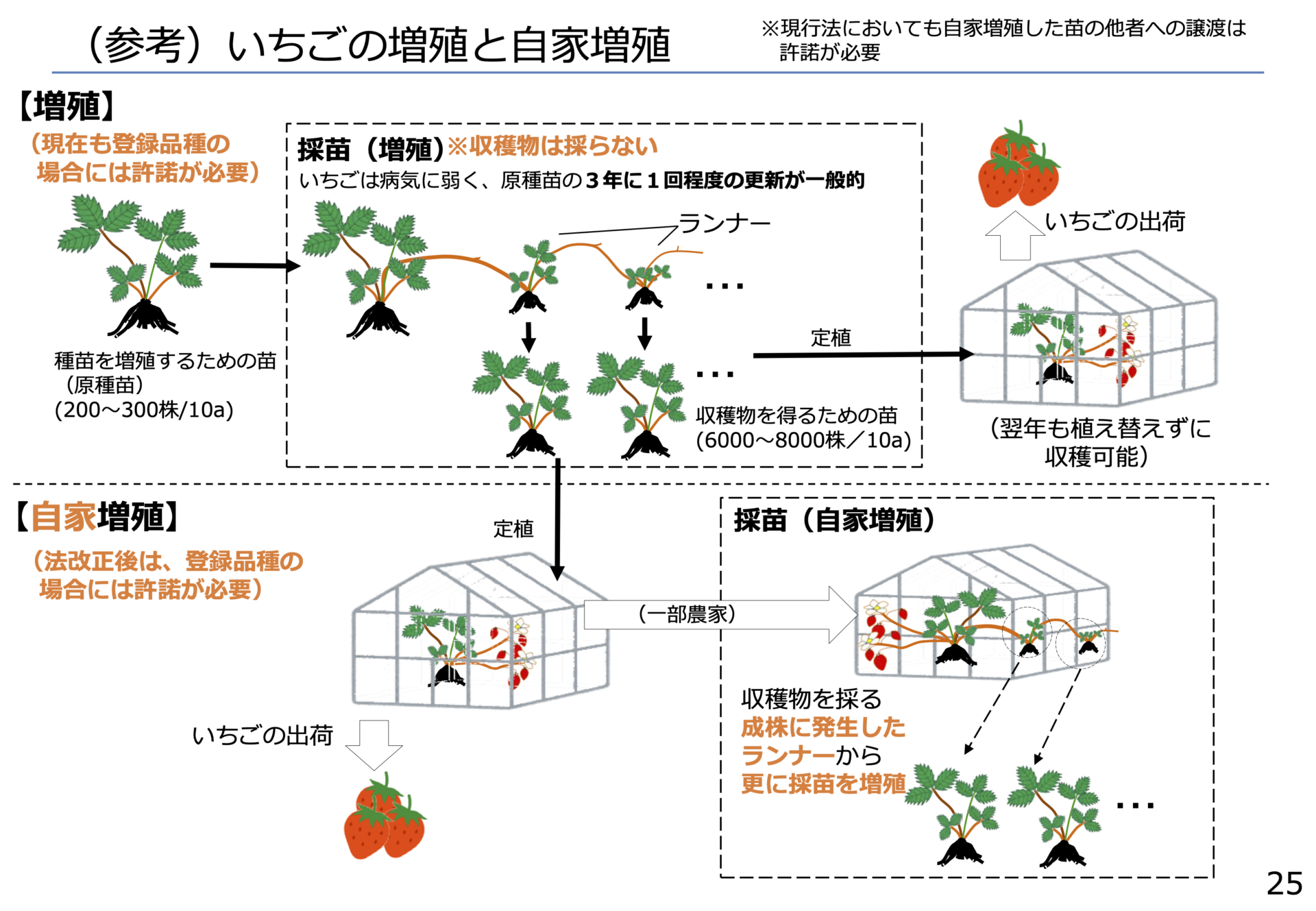 農水省 種苗法改正説明資料を改竄 情報民主化プロジェクト By Inyaku Net