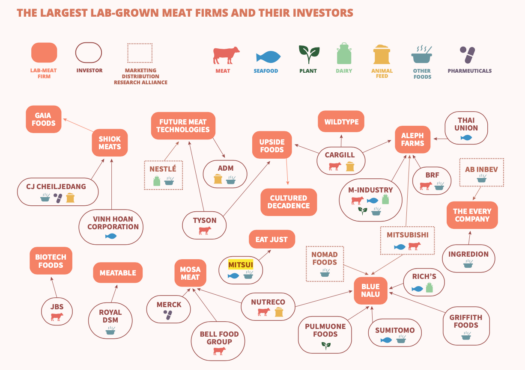 細胞培養肉をめぐる企業動向