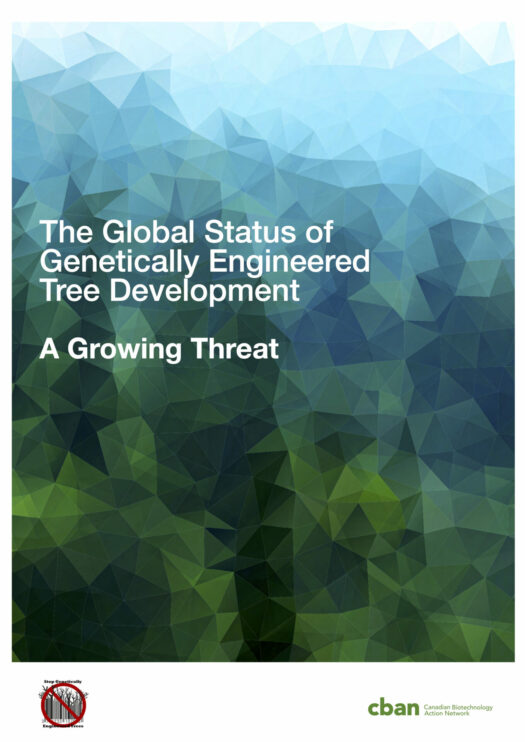 The Global Status of Genetically Engineered Tree Development: A Growing Threat
