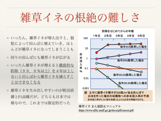 雑草イネの根絶の難しさ