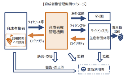 育成者権管理機関のイメージ