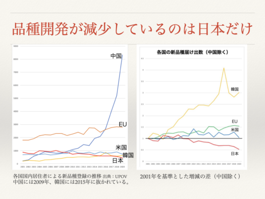 品種開発が減少しているのは日本だけ
